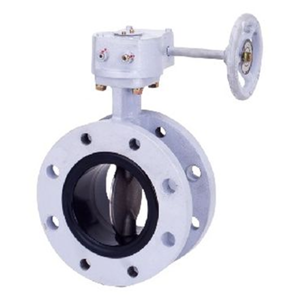 KITZ開滋閥門\10K杠桿式不銹鋼蝶閥FAS-10UB-125A