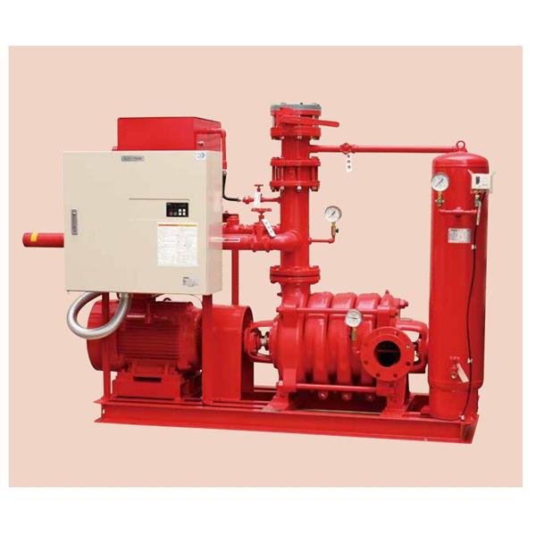 TERAL中～大流量/中揚(yáng)程冷卻泵LPS653/2A-57.5T-e